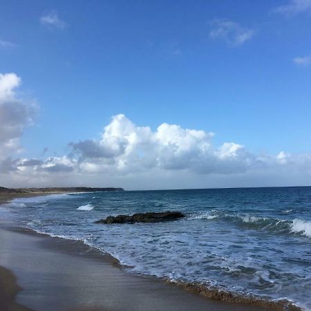 Piso Oliastur Leilighet Cotillo Eksteriør bilde